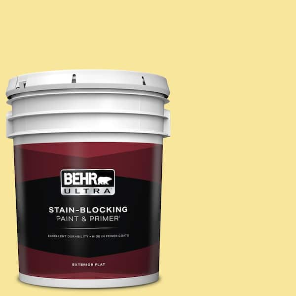 BEHR ULTRA 5 gal. #P310-4 Storm Lightning Flat Exterior Paint & Primer