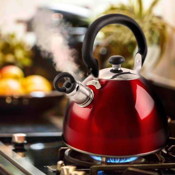 Tea Kettle Stovetop Whistling Modern Small Stainless Steel Gas Stove Top  2.8 Qt