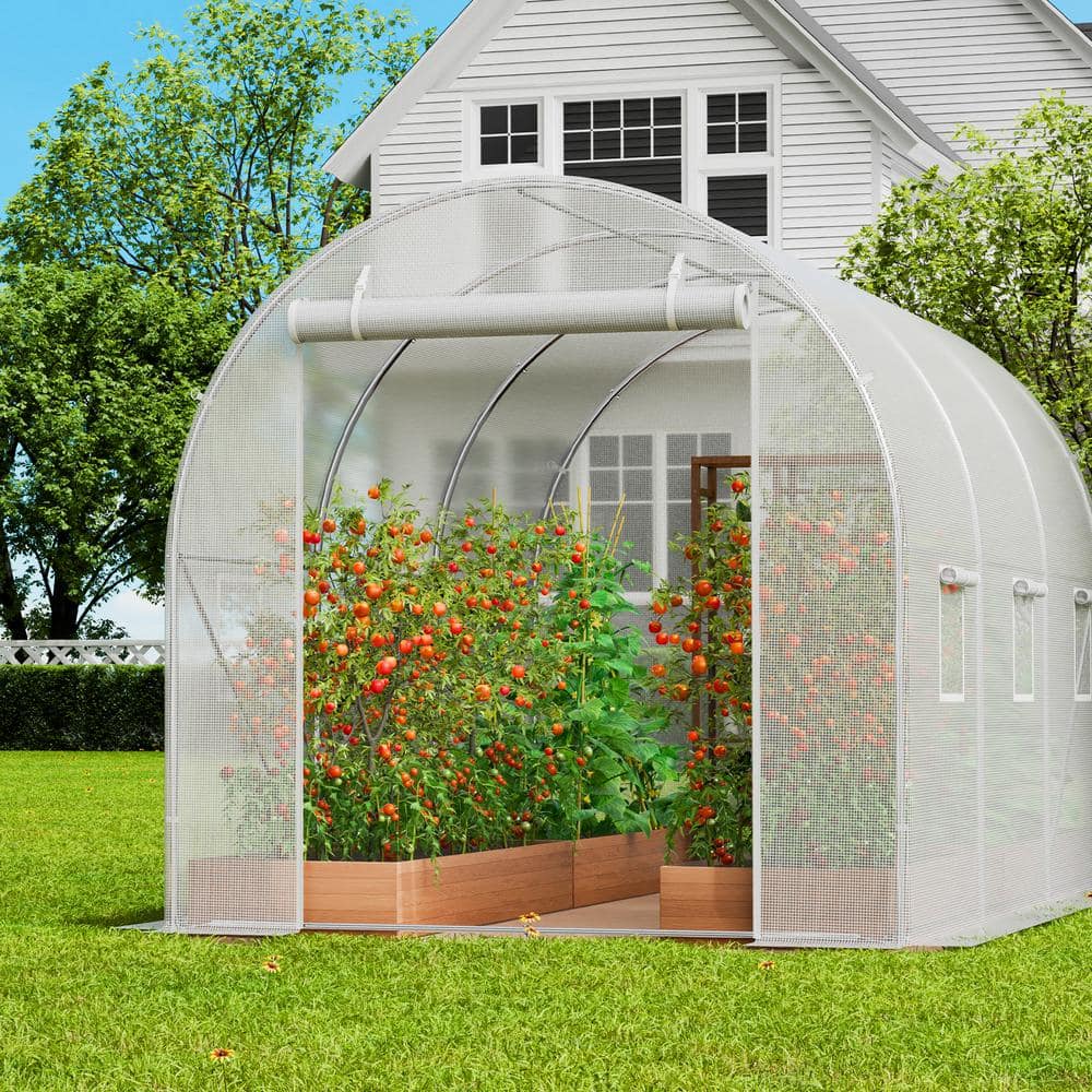 Large White Walk-In Tunnel Greenhouse with Galvanized Steel Frame