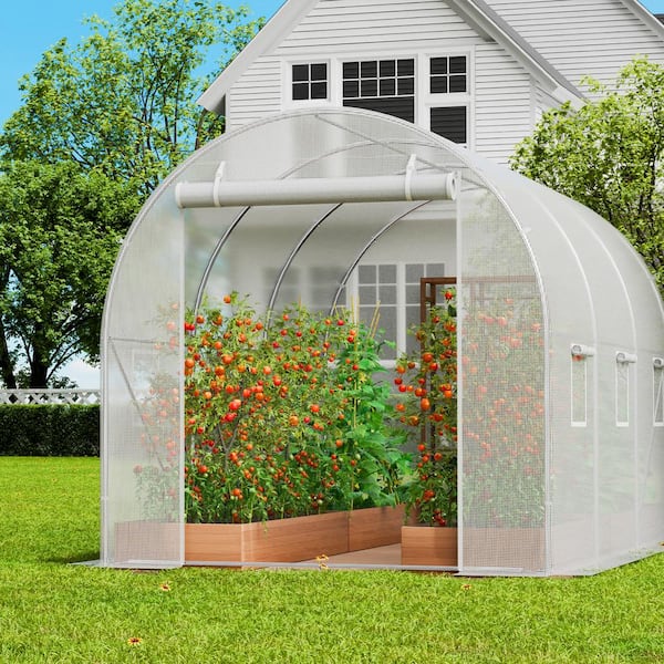 Walk-in Tunnel Greenhouse, 9. 6x6. 4x6. 2 ft. Hoop House Greenhouse Tunnel, Plant Hot House with Galvanized Steel Frame
