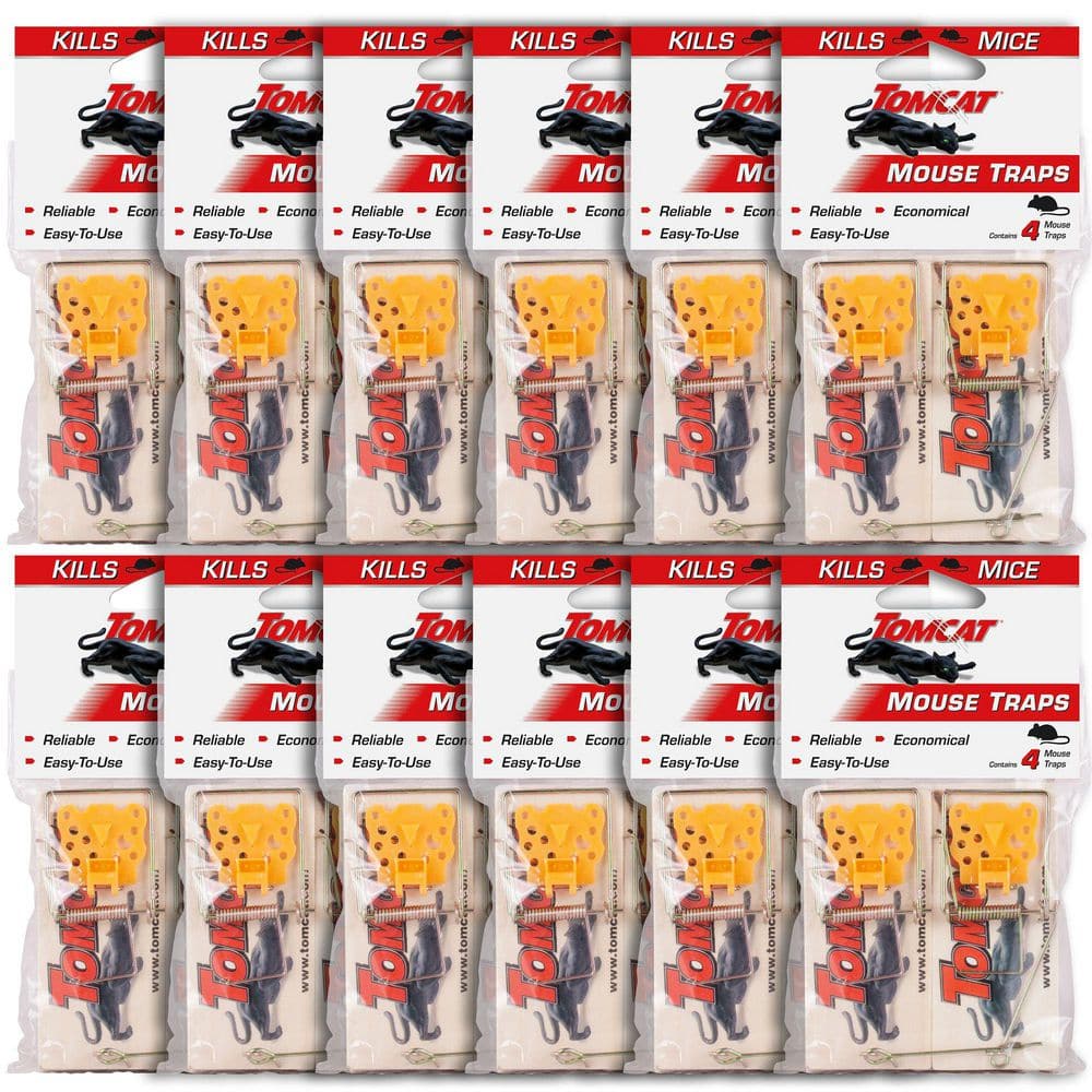 Mouse Traps (Wooden) Bundle, Inexpensive, Effective Way to Catch Mice in the Home, 48 Traps price history on PriceWatchPro