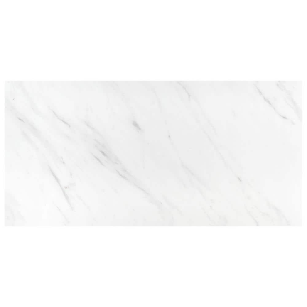 Eterno Carrara 12-7/8 in. x 12 in. Porcelain Floor and Wall Take Home Tile Sample