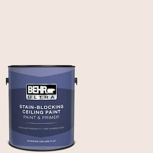 1 gal. #RD-W06 Soothing Pink Ceiling Flat Interior Paint and Primer