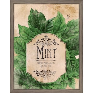 Melissa Van Hise Seed Packet Mint Framed Giclee Vintage Art Print 15 in ...