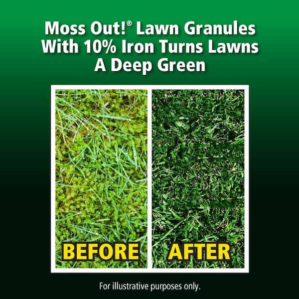 Moss Out! 20 lb. 5,000 sq. ft. Lawn Moss Killer Granules