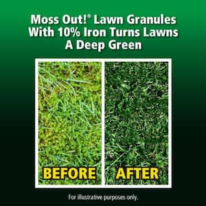 20 lb. 5,000 sq. ft. Lawn Moss Killer Granules