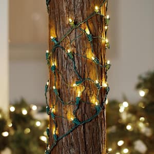 Noma/inliten-import Holiday Wonderland 150ct Green Net Light Set 562134 for sale online 