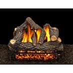 Cheyenne Glow 24 in. Vented Natural Gas Fireplace Log Set with Complete Kit, Manual Match Lit