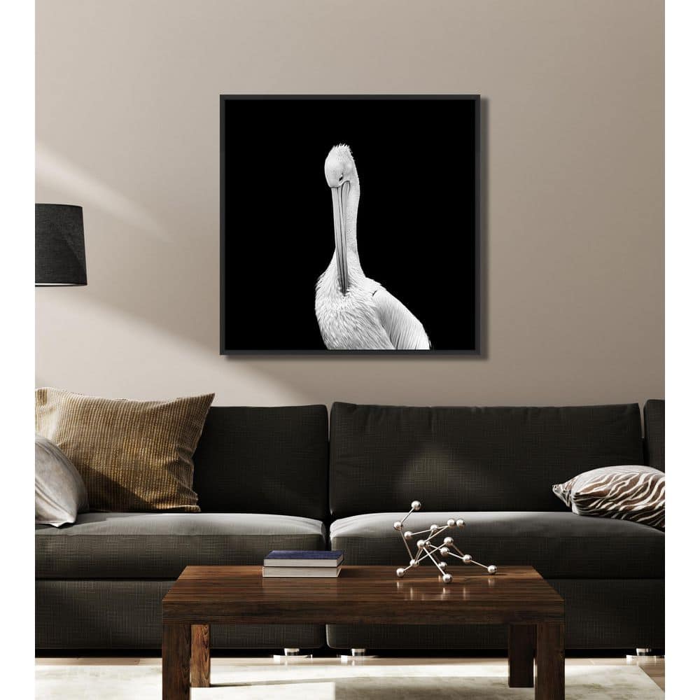 White Pelican in the Dark Petite Framed Giclee Art Print 26 in. x 26 in. price history on PriceWatchPro