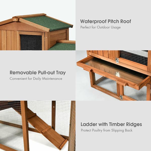 bunny ramp for cage