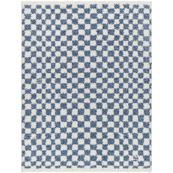 Birmingham Blue 5 ft. x 7 ft. Checkered Indoor Area Rug