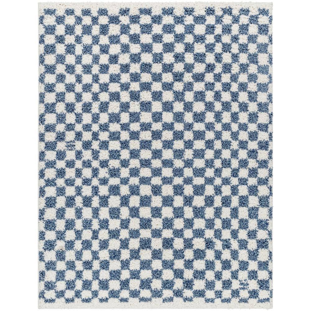 Birmingham Blue 8 ft. x 10 ft. Checkered Indoor Area Rug price history on PriceWatchPro