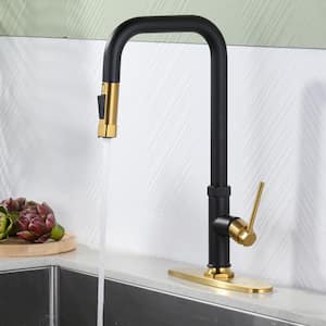 Single Handle 2 Water Modes Pull Down Sprayer Kitchen Faucet with Stainless Steel And Brass in Black and Gold