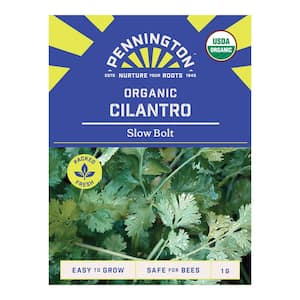 Organic Cilantro Slow Bolt Herb Seed