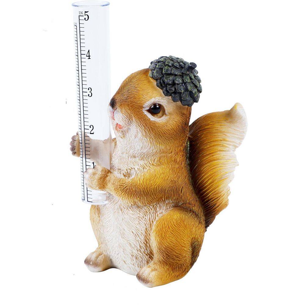 Resin Squirrel Rain Gauge price history on PriceWatchPro