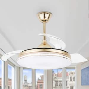 42 in. LED Indoor Gold Modern Retractable Ceiling Fan with Remote and Light, Reversible DC Motor