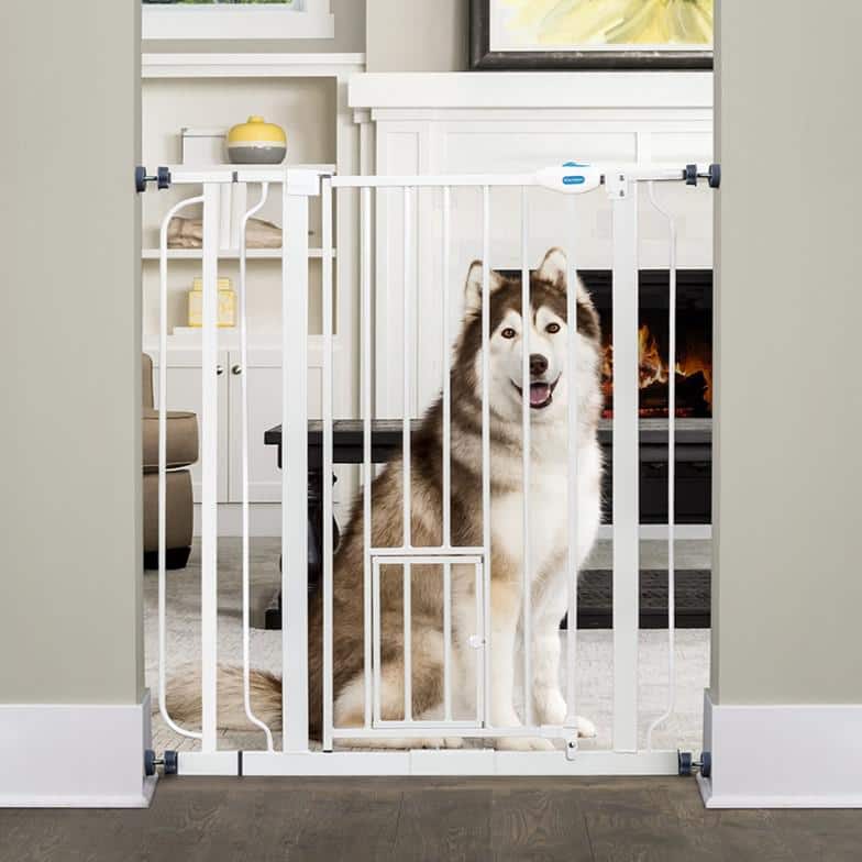 Extra Tall White Metal Pet Gate with Small Door