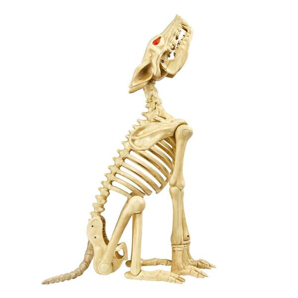 chicken skeleton halloween decoration