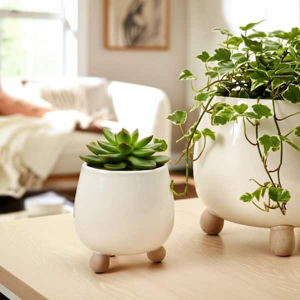 design flower pot 6 植木鉢 Liv & Skye 6 in. and 8 in. Ivory Ceramic Knobby Footed Decorative