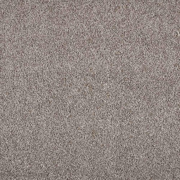 Lifeproof with Petproof Technology Tides Edge - Minnow Gray 50 oz. Triexta PET Texture Installed CarpetCarpet