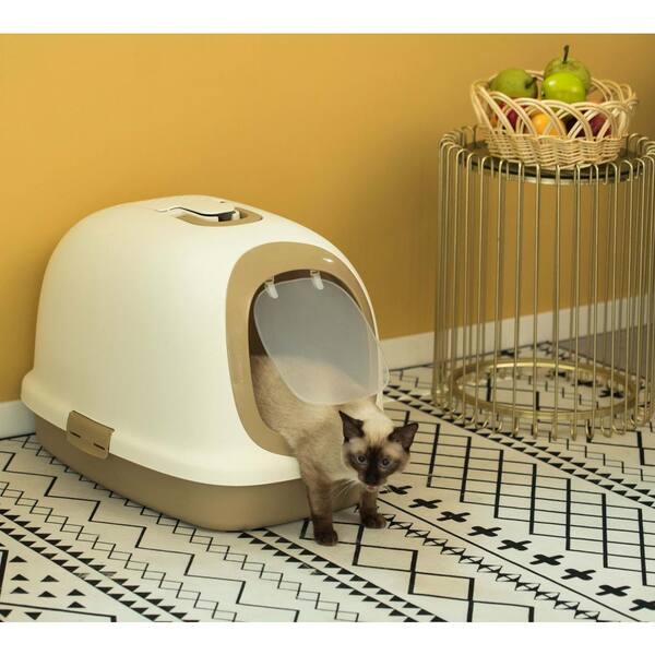 odor free cat box