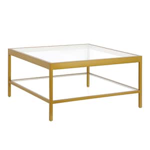 Alexis 32 in. Brass Square Glass Top Coffee Table with Shelf
