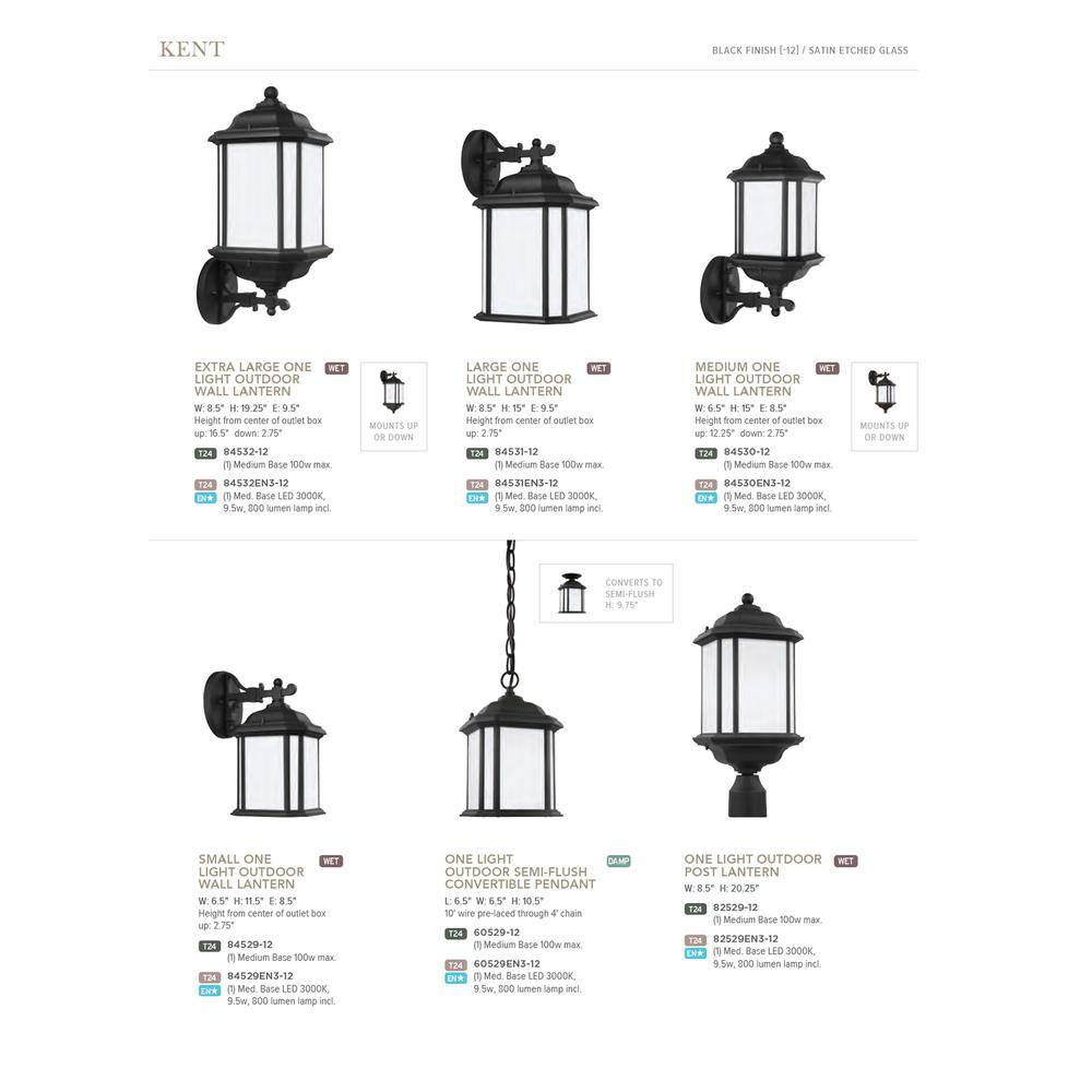 Black Bronze LED Outdoor Wall Lantern with Satin Etched Glass