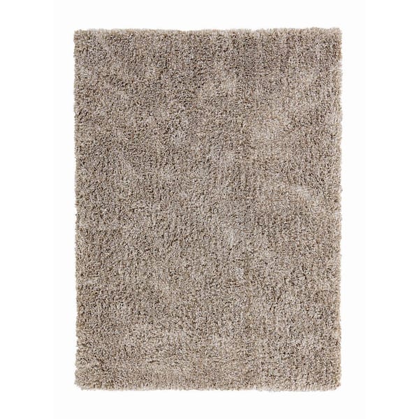 Microfiber Polyester Shag Warm Sand 5 ft. x 7 ft. Canilla Area Rug