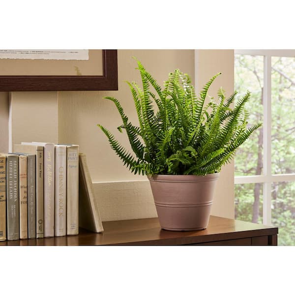 8 in. Hallie Small Peach Terracotta Plastic Planter (8 in. D x 6 in. H) with Drillable Drainage Holes