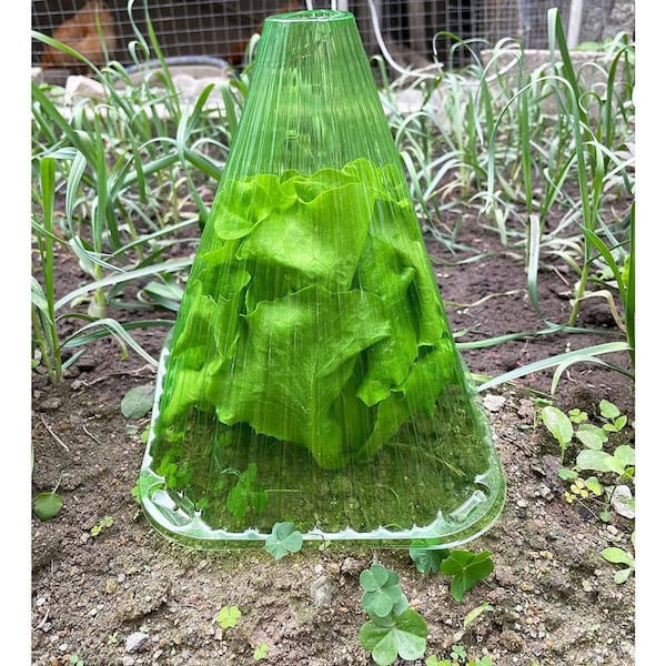 20-Pack Reusable Plant Bell Jars to Protect Against Sun, Frost, Snails and  More (Green) B096FYLNP6 - The Home Depot