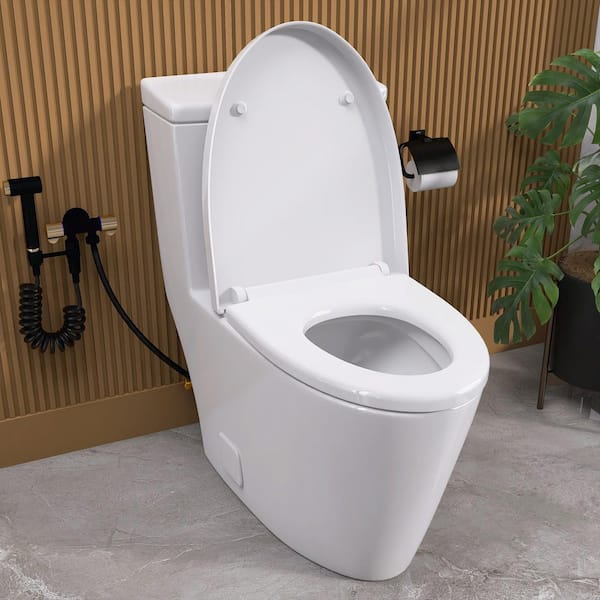 Zeafive Top 1-Piece Toilet 1.1/1.6 GPF Dual Flush Compact