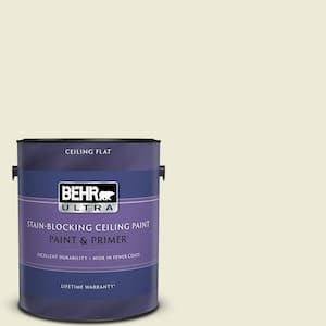 1 gal. #GR-W03 Amazon Breeze Ceiling Flat Interior Paint with Primer
