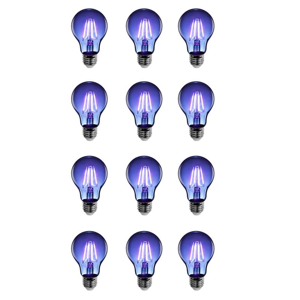 25-Watt Equivalent A19 Dimmable Filament Blue Colored Glass E26 Medium Base
