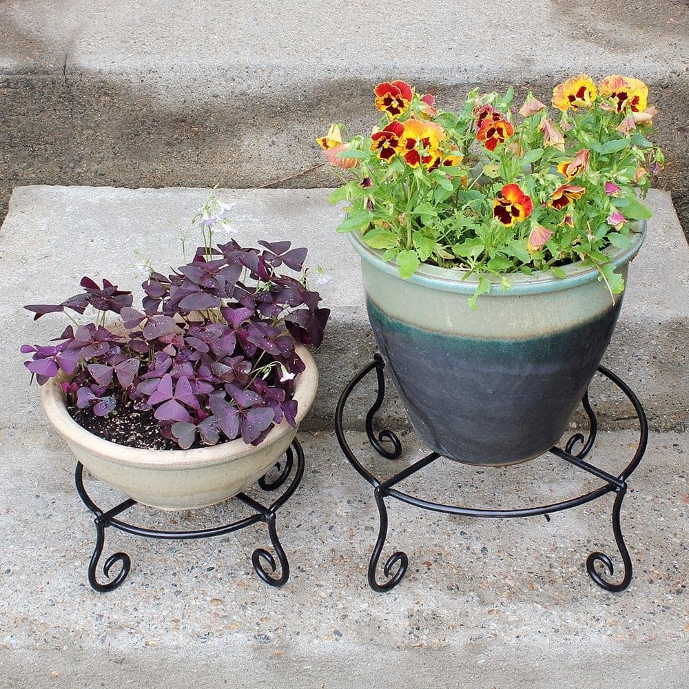 Black Wrought Iron Circular Plant Stand with Scroll Legs