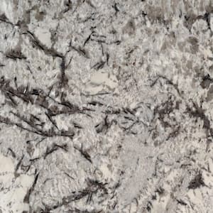 3 in. x 3 in. Granite Countertop Sample in Delicatus White