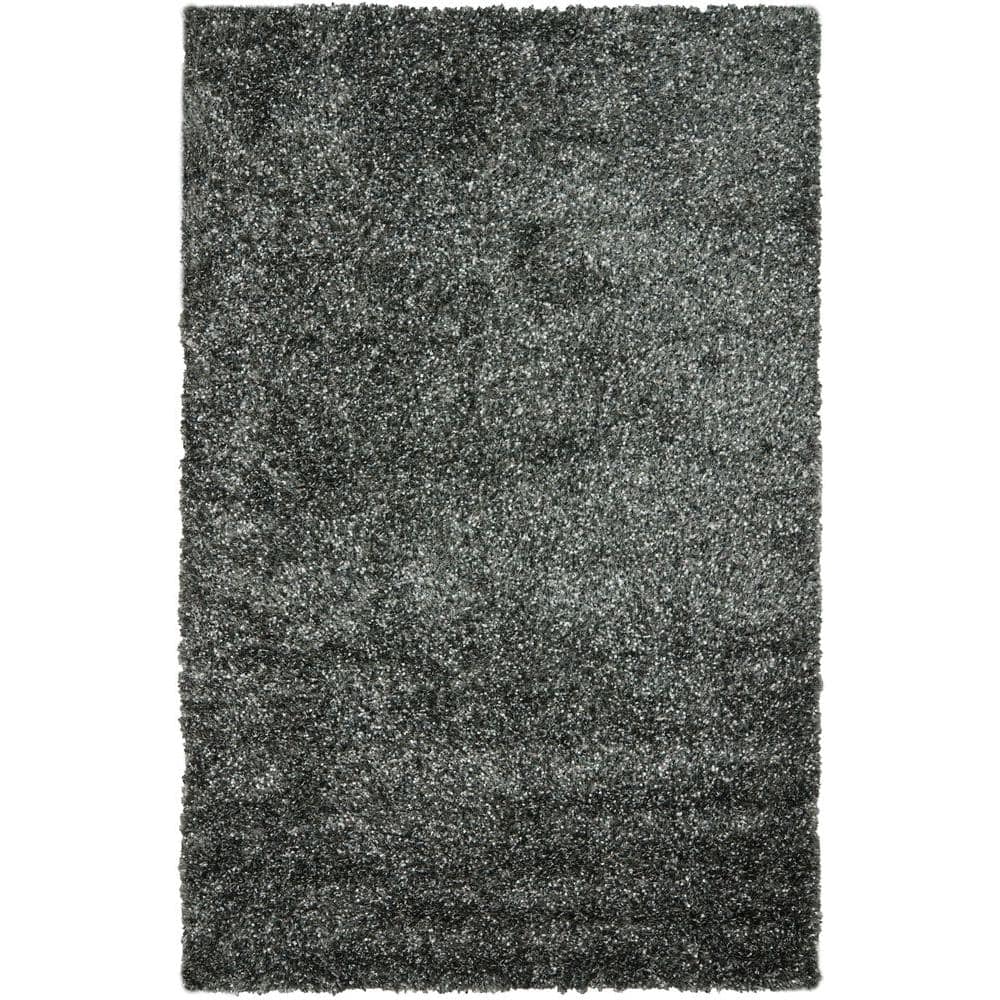 Malibu Shag Charcoal 5 ft. x 8 ft. Solid Area Rug price history on PriceWatchPro