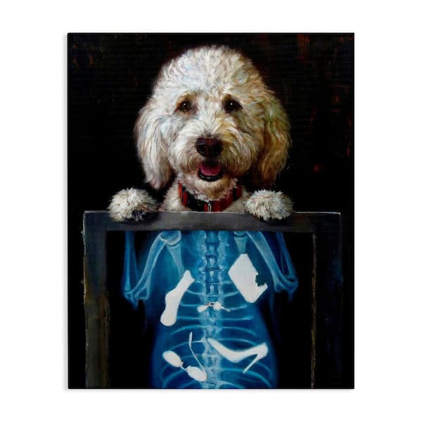 Stupell Industries Funny Dog X-Ray Snacks by Lucia Heffernan 1-Piece Gallery Wrapped Unframed Animal Graphic Art Print 40 in. x 30 in.