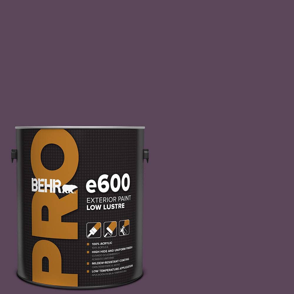 1 gal. #T11-3 Strike a Pose Low Luster Exterior Paint price history on PriceWatchPro