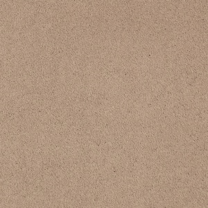 Appreciate I  - Ombre - Brown 47 oz. Triexta Texture Installed Carpet