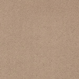 Appreciate II  - Ombre - Brown 58 oz. Triexta Texture Installed Carpet