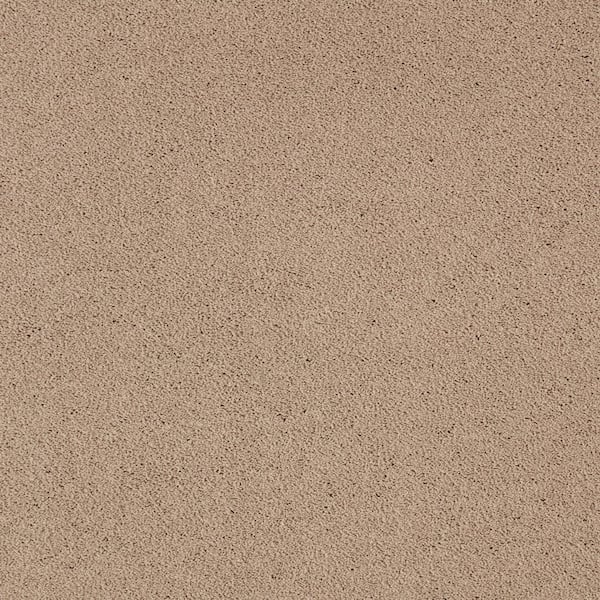 Lifeproof Appreciate II  - Ombre - Brown 58 oz. Triexta Texture Installed Carpet