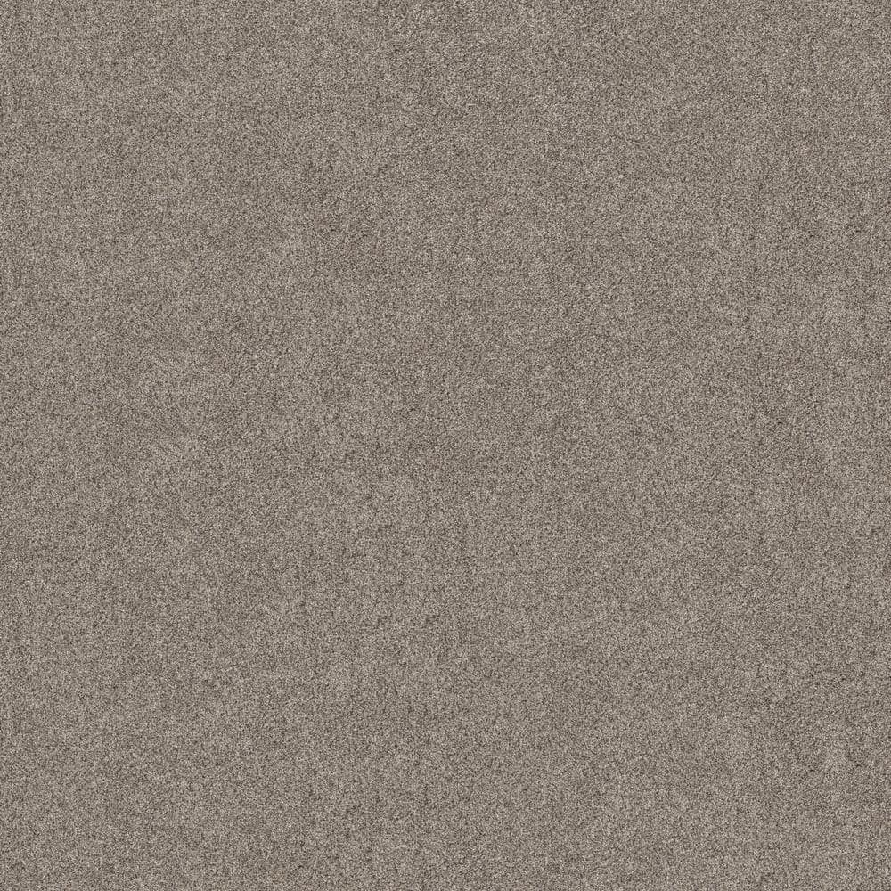 8 in. x 8 in. Texture Carpet Sample - Vacation - Color Swirl price history on PriceWatchPro