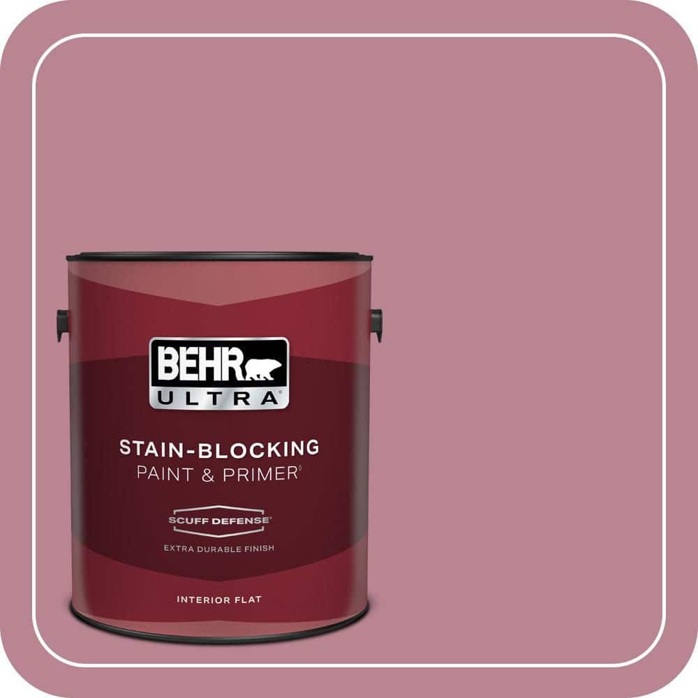 1 gal. #BIC-19 Berry Blush Extra Durable Flat Interior Paint & Primer price history on PriceWatchPro