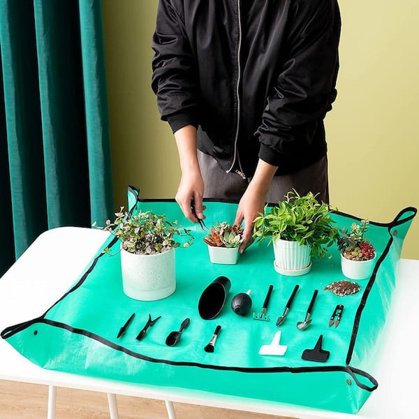 Scissors & Pruners Set Houseplants and Gardening A Must-have Plant Tool and  Accessory for Plant Lovers A Perfect Plant Gift 3 Tools 