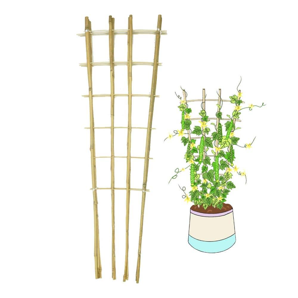 4 ft Bamboo Trellis Plant Support Natural Yellow 3 Pack price history on PriceWatchPro