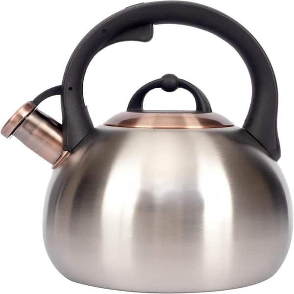 3.1 qt. 12-Cup Silver Food Grade Stainless Steel Whistling Stovetop Tea Kettle with Pour Spout