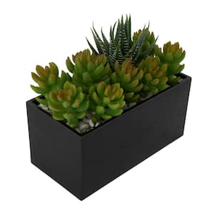 7 in. H Artificial Succulent Plant with Black Melamine Pot