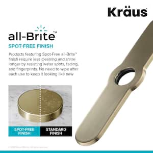 10.25 in. Kitchen Faucet Single Hole Deck Plate in Spot Free Antique Champagne Bronze