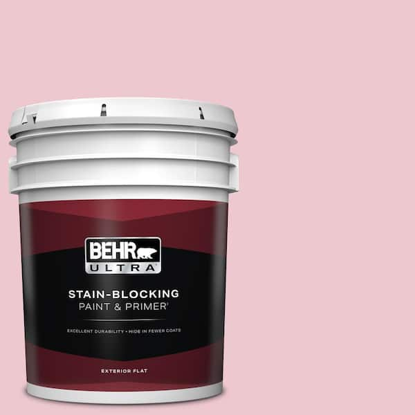 BEHR ULTRA 5 gal. #M140-2 Funny Face Flat Exterior Paint & Primer