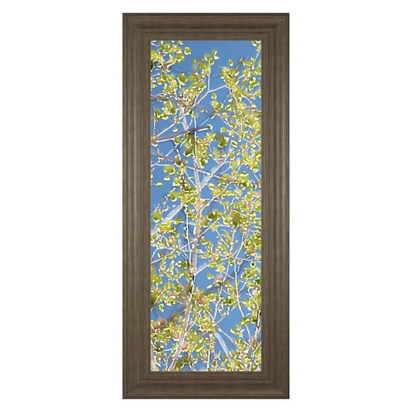 "Spring Poplars I" by Sharon Chandler Framed Print Wall Art 18 in. x 42 in.